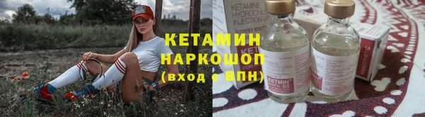 прущие грибы Надым